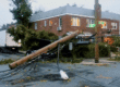 Tree Removal Services Little Neck, Queens NY