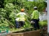 land-clearing0002
