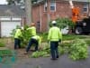 land-clearing0005
