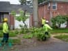 land-clearing0006