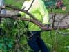 land-clearing0007