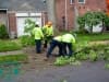 land-clearing0008