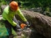land-clearing0011