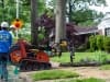 land-clearing0012