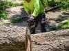 land-clearing0013