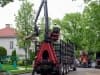 tree-service